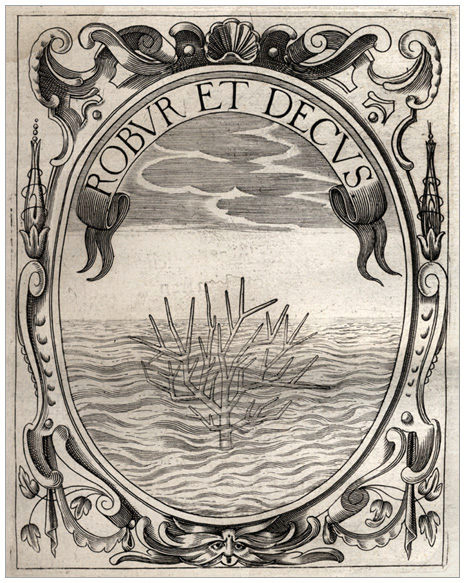 clicca qui per immagine a alta risoluzione Symbolum III.