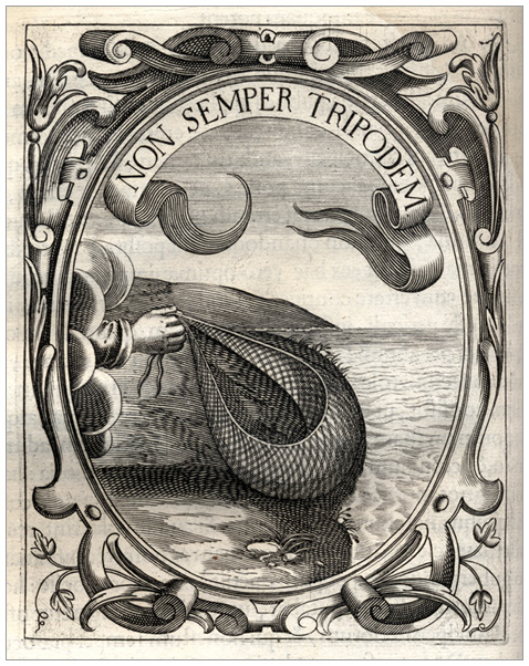 clicca qui per immagine a alta risoluzione Symbolum XXIX.