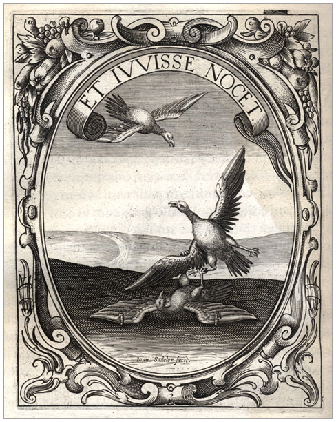 clicca qui per immagine a alta risoluzione Symbolum XLVII.