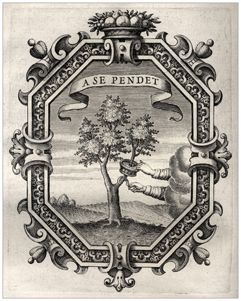 clicca qui per immagine a alta risoluzione Symbolum LIV.