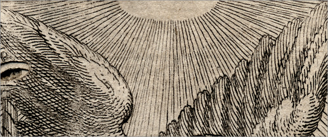 sole e ali dell'aquila