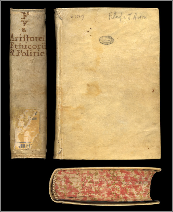 dorso, piatto anteriore e taglio di piede dorso, piatto anteriore e taglio di piede