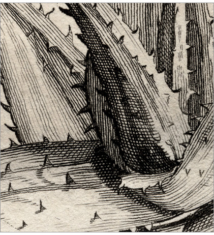 particolare della Fig. 19 particolare della Fig. 19